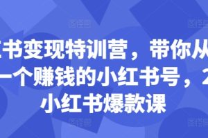 小红书变现特训营，带你从0到1做一个赚钱的小红书号，24堂小红书爆款课