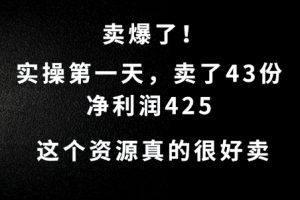 这个资源，需求很大，实操第一天卖了43份，净利润425【揭秘】