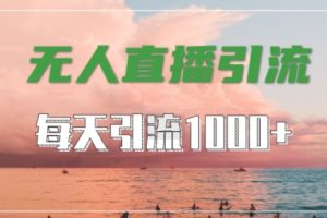 抖音快手视频号全平台通用，无人直播引流法，超暴力引流1000+高质量精准创业粉【揭秘】