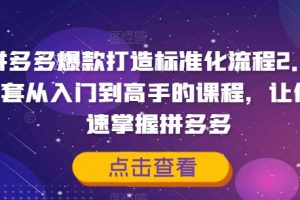 拼多多爆款打造标准化流程2.0，一套从入门到高手的课程，让你快速掌握拼多多