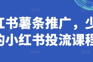 小红书薯条推广，少有的小红书投流课程