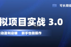 虚拟项目实战3.0，打造自动盈利店铺，可长期操作投入低，新手也能操作