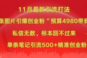 小红书11月最新图片打粉，一张图片引爆创业粉，“预算4980带我飞”，单条引流500+精准创业粉