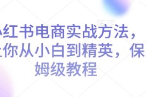 小红书电商实战方法，让你从小白到精英，保姆级教程