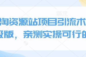 小淘资源站项目引流术终极版，亲测实操可行的