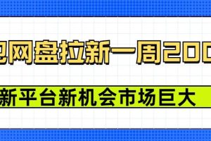 豆包网盘拉新，一周2k，新平台新机会