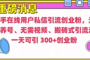 快手最新引流创业粉方法，无需养号、无需视频、搬砖式引流法【揭秘】