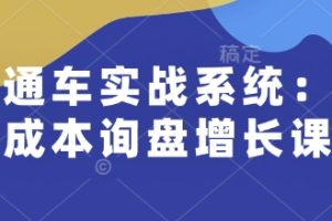 直通车实战系统：低成本询盘增长课，让个人通过技能实现升职加薪，让企业低成本获客，订单源源不断