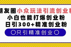 朋友圈小众玩法引流创业粉，小白也能打爆创业粉，日引300+精准创业粉【揭秘】